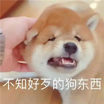  实用的斗图怼人聊天表情包还真拿自己当回事了