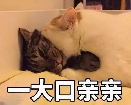 中奖表情包大全亲亲