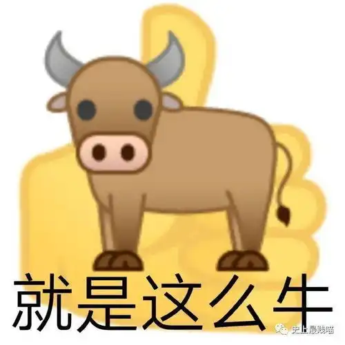  没有女人看到我照片不会爱上哈哈哈哈tmd被这份自信笑拉了