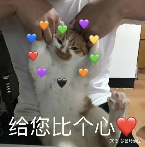  有没有沙雕橘猫的头像或表情包