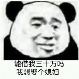  借钱表情包整套20张