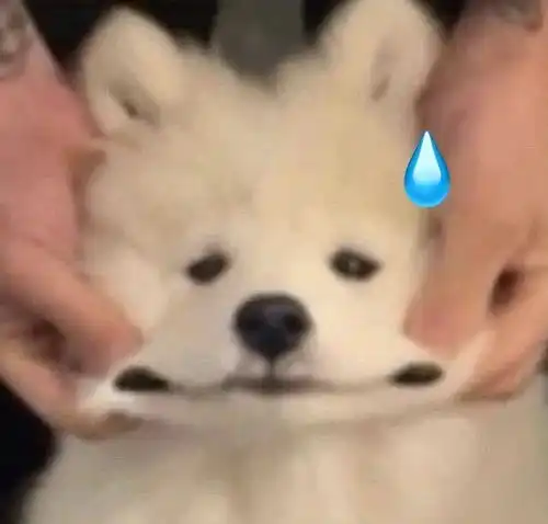  stopstop生活组事生活组毕