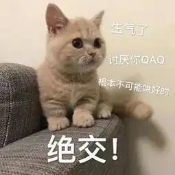  卖萌撒娇表情包我生气了哄不好的那种