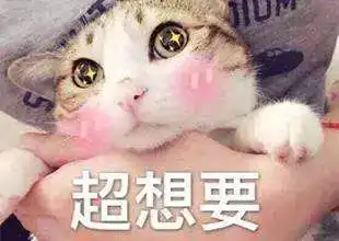 微信表情包我好爱你