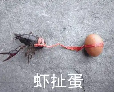 令人作藕表情包无水印沙