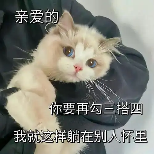  一组情侣聊天实用的表情包