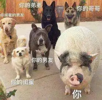  过年的意义