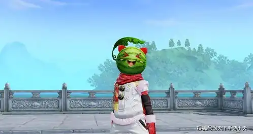  少侠为何不试试穿上头套,当一个行走的欢乐表情包呢