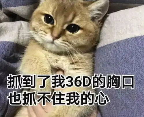  4张污污的表情包,图2太嚣张,图3给跪服,看完笑出猪叫声