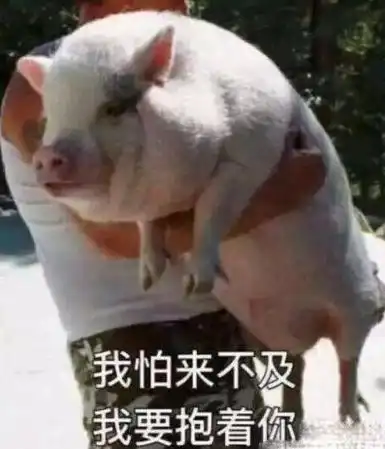  贵了不少德阳人天天吃为啥会涨价