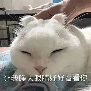  神装秀号称倩女第一极限躲避物理系这位彩光核武断恨刀到底有多绝