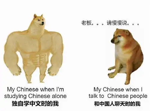  把中文纳入考试之后,外国学生累觉不爱,用图搞笑吐槽