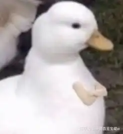  女生工作之余找我老公闲聊,并且总发这种装可爱的表情
