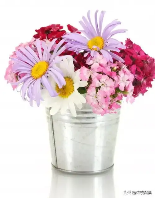  星期五早上好问候语图片温馨祝福语录,微信早上暖心的祝福短句