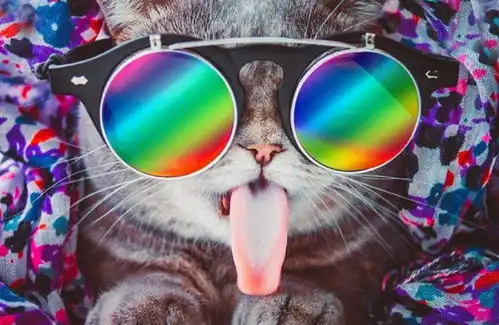  这只超萌的猫咪,不仅有丰富的表情,还会吐着舌头卖萌