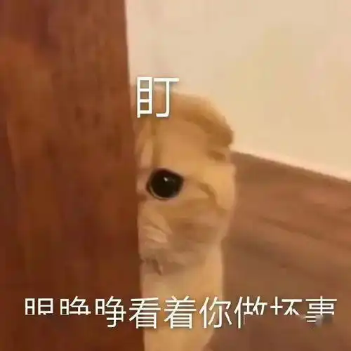  表情包动图我还没上车呢