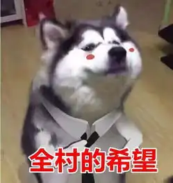  返程的后备箱,是游子家庭地位的pk场