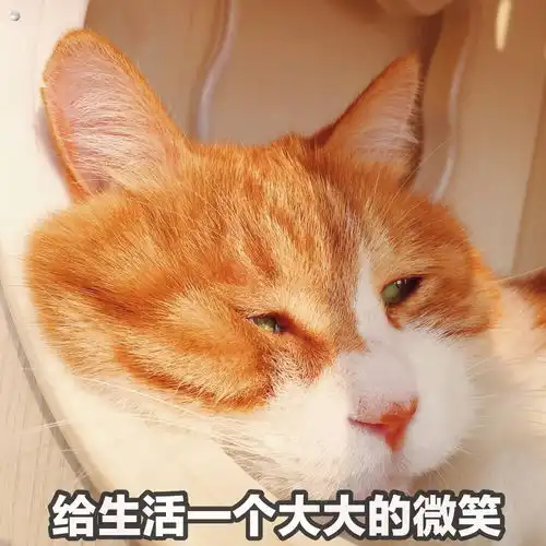 小楼酱日常 小楼酱日常