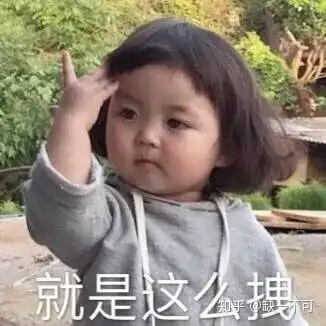  两只猪猪的故事第三集