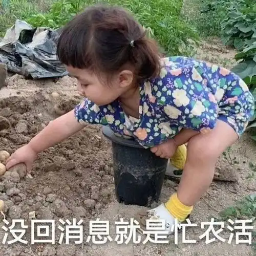 萌贱晚安好梦表情包你确定不来哄我我这一走可就是一辈子