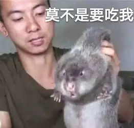  为什么一些做三农短视频的人这么火