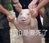  叫你乱说打脸狗狗动图表情包动图打脸表情