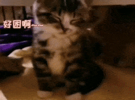 100个抖音超火表情包漂亮的女孩子,连胸都是a 100个抖音超火表情包漂亮的女孩子,连胸都是a