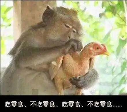  已黑化你不懂血的味道沙雕熊猫头表情包第五弹斗图表情