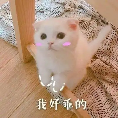  怎么可爱的跟男朋友道歉无水印链接
