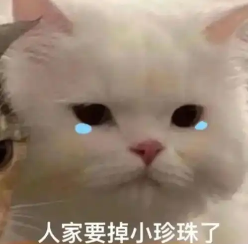  沙雕可爱表情包悔恨臭宝