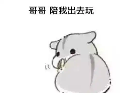 小仓鼠表情包图片大全段