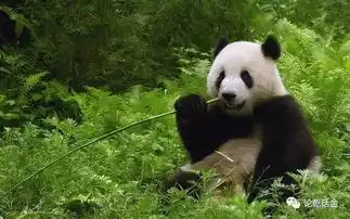  大唐天后送了日本天皇一份大礼,这份礼现在成为一级国宝