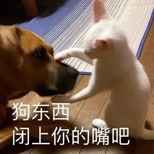  等你当上副总就有钱了
