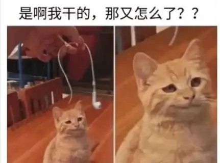  姑娘你这裙子太霸道,走在后面都替你担心哈哈就不害怕有人拉开吗