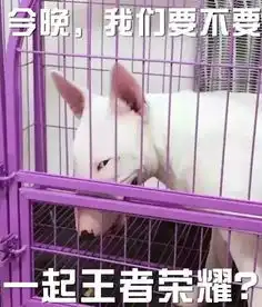  过年混群专用必备表情包