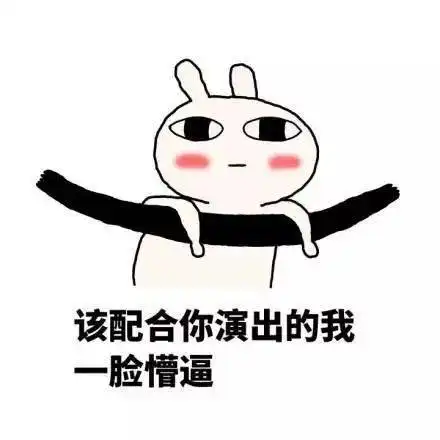  风控对这项目有点看法
