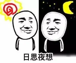 edg是什么意思表情包夜