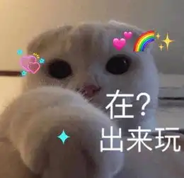  猫咪表情包在出来玩