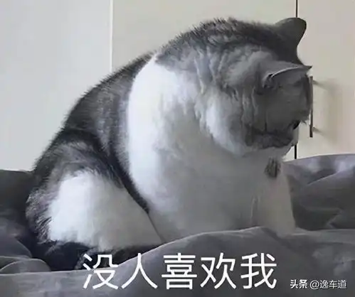  8万块实现的瓦罐梦,这台二手斯柯达明锐旅行版是你的菜吗