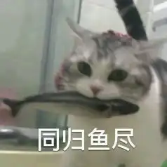 没想到吧今天流量最高的当红小生居然是徐峥