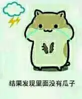  表情与斗图73仓鼠掉瓜子表情包