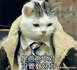  dnf这些令人深恶痛绝的狗团长行为,你能容忍吗