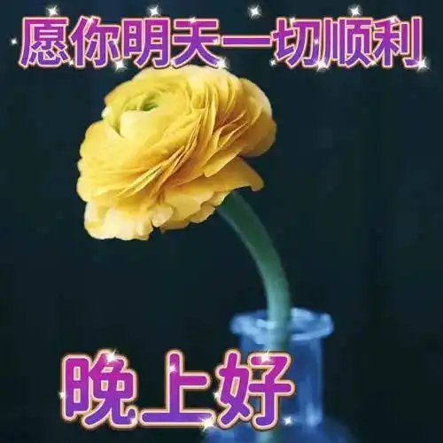  晚安图片,晚上好表情包,祝福望你好梦