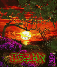  2019最新漂亮早晨好表情包2019最美早上好动态图片表情