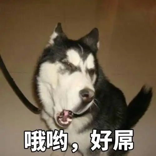  高中三年的奇葩事