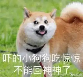 介绍特殊服务却提供正规按摩轻松一刻5月9日晚间版