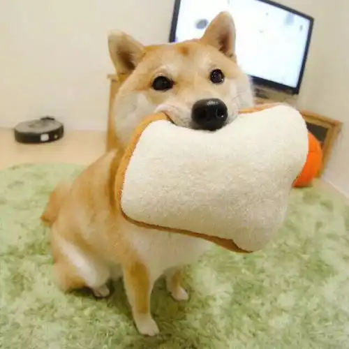  大年初三,请收下萌狗狗们给你的拜年大礼