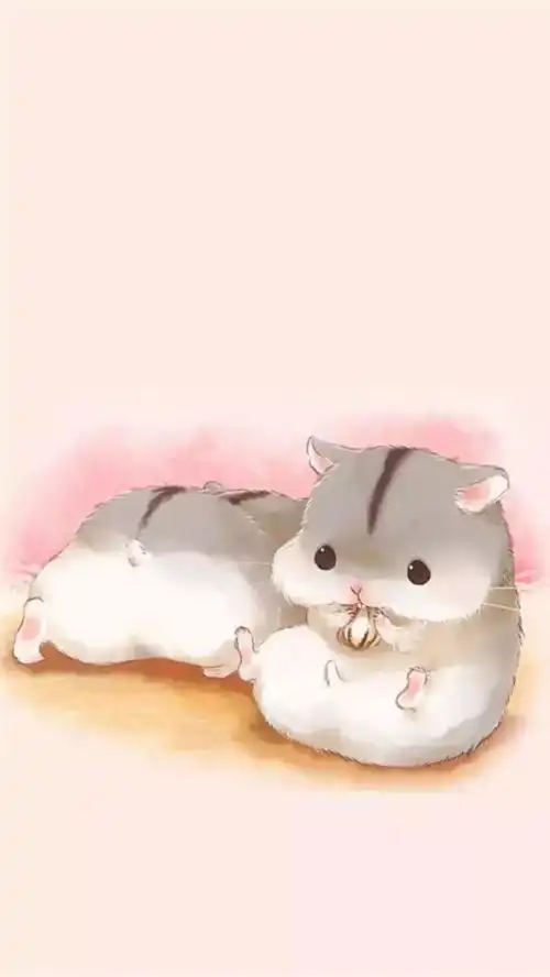  青岛机情派iphone66p6s6sp77p,萌萌哒小仓鼠壁纸
