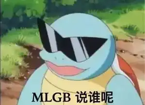  前方大量表情包出没杰尼龟咋就变成憨批代言人了