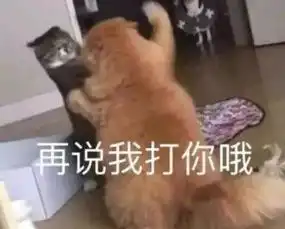  表情包算我求你的,跟我打游戏好不好